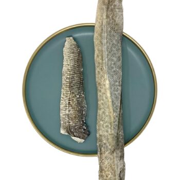 Lámina de piel de salmón (Diferentes tallas)