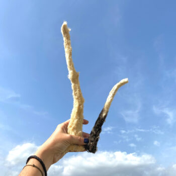 Cola de cordero con pelo