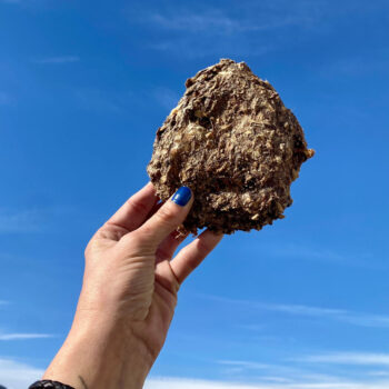 ECO Hamburguesa de pollo