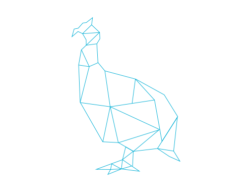 Pavo