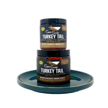 Turkey Tail - Cola de pavo